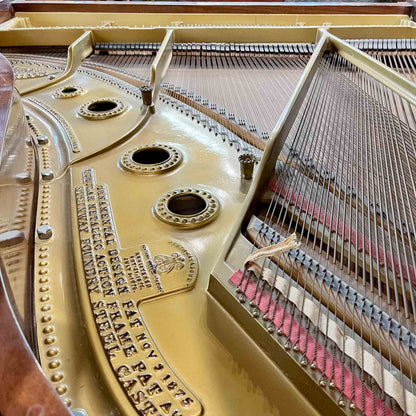 CURRENT SHOP WORK - 1900 Steinway 6' Art Case Wood Finish Grand Piano