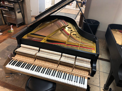 HEIRLOOM RESTORATION 1905 Steinway Model O Satin Black Commissioned Grand Piano
