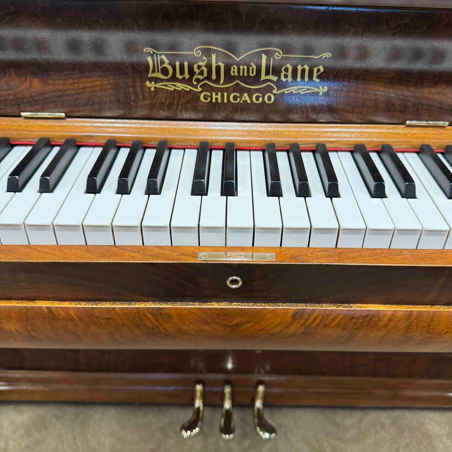 1901 Bush & Lane 58" Wood Finish Upright Piano