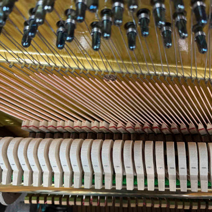 CURRENT SHOP WORK - 1911 Ludwig & Co. Wood Finish Art Case Commissioned Upright Piano