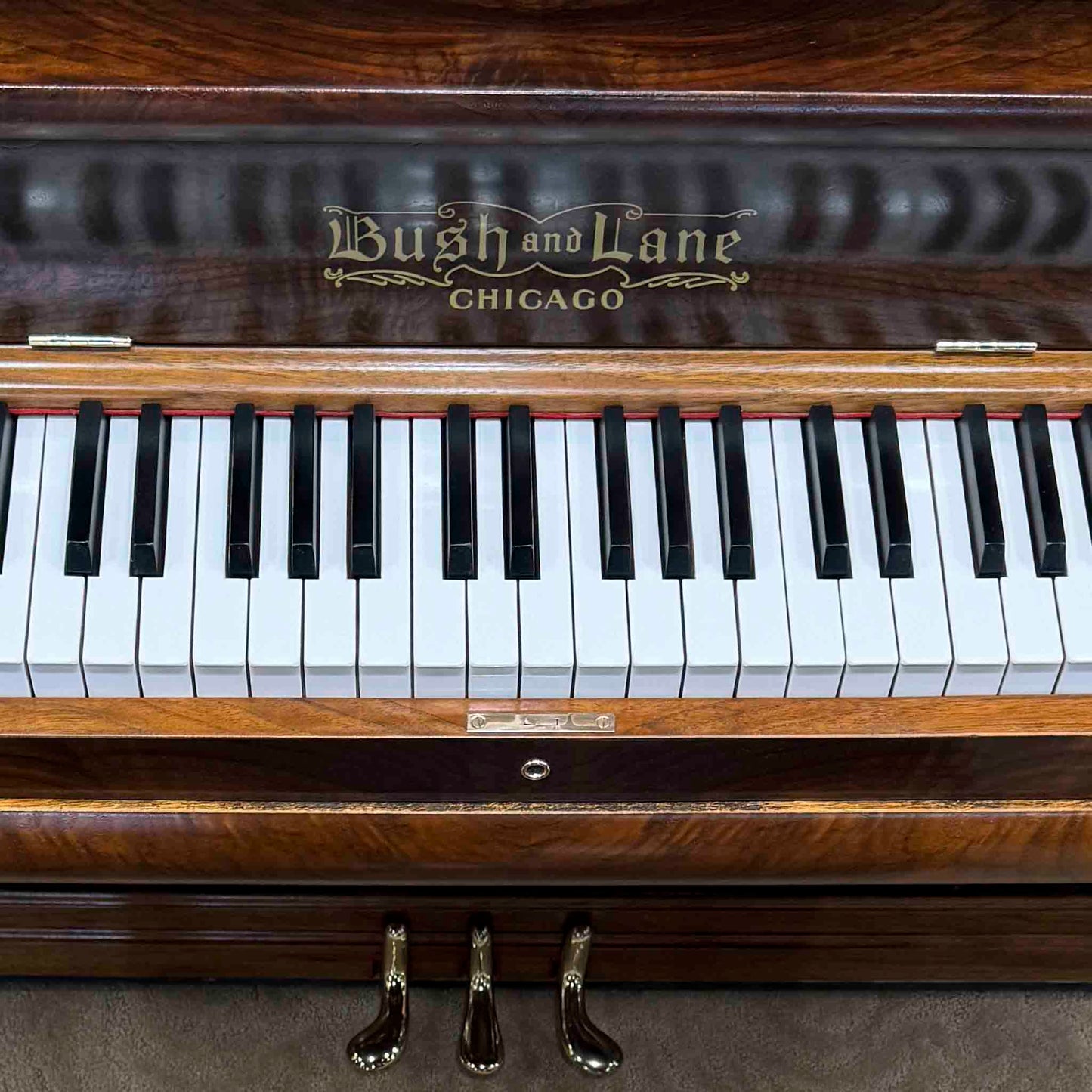 1901 Bush & Lane 58" Wood Finish Upright Piano