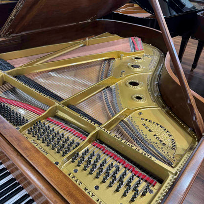 1900 Steinway Model A 6' Art Case Wood Finish Grand Piano with QRS Self Playing System