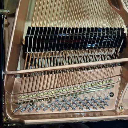 Hailun 178 5'10" Polished Black Grand Piano