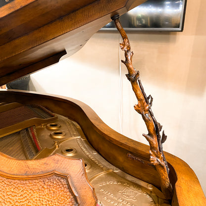 The WILDERNESS Grand Player Piano - One of A Kind Handcrafted Rustic Art Case