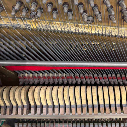 CURRENT SHOP WORK - 1907 Lester 58" Wood Finish Commissioned Upright Piano