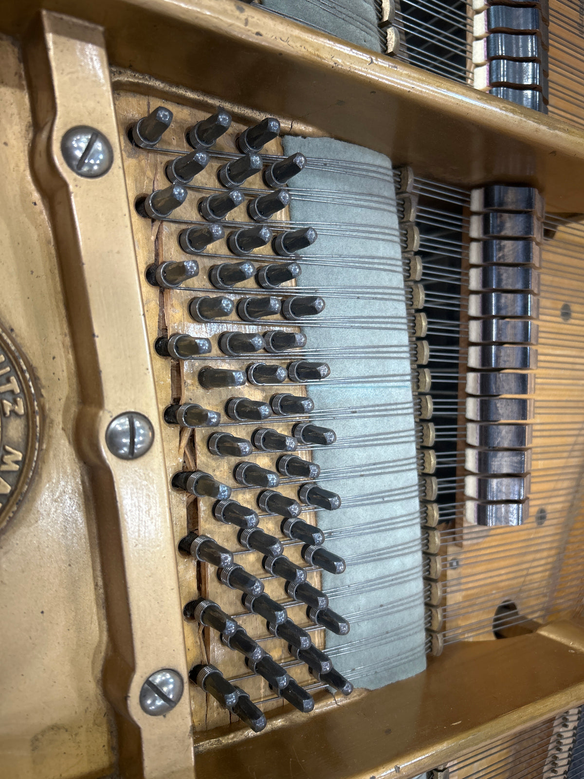 1888 Bechstein 7' Grand photo 10