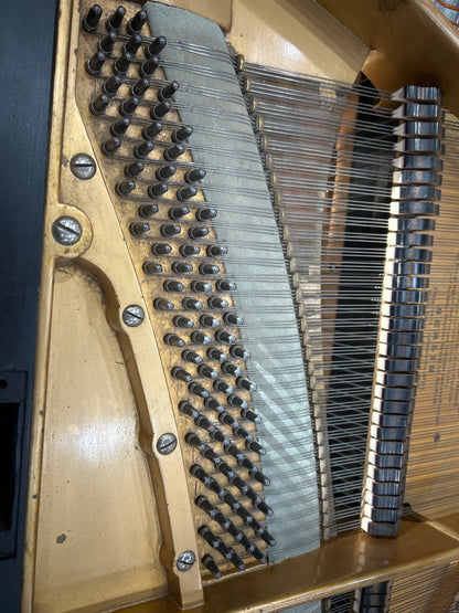 1888 Bechstein 7' Grand photo 11