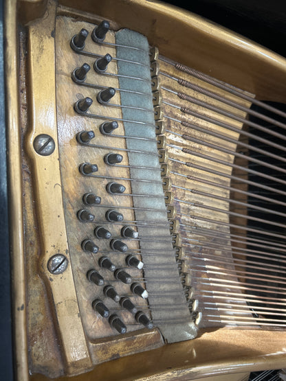 1888 Bechstein 7' Grand photo 12