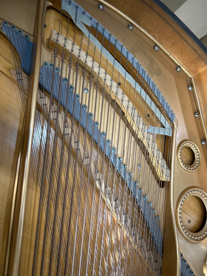 1888 Bechstein 7' Grand photo 13
