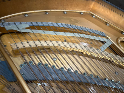 1888 Bechstein 7' Grand photo 14