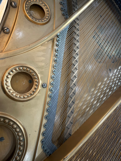 1888 Bechstein 7' Grand photo 15
