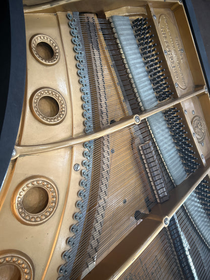 1888 Bechstein 7' Grand photo 16