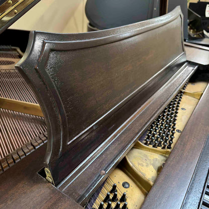 1920 Starck 4'11" Wood Finish Baby Grand Piano