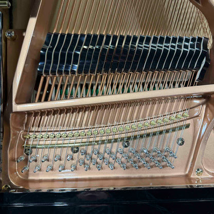 Hailun 161 5'4" Polished Black Grand Piano