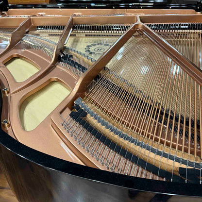 Hailun 161 5'4" Polished Black Grand Piano