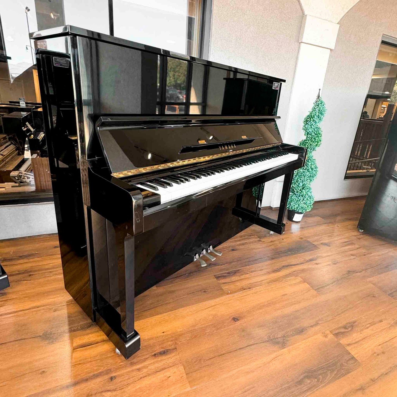 A polished black Yamaha U1 upright piano with a high gloss finish and brass trim, displayed in a piano sales showroom setting.