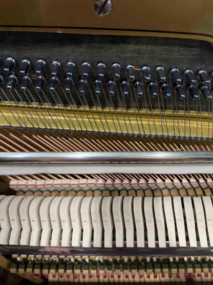 HEIRLOOM RESTORATION 1907 Walworth Schulz & Co. 56" Mahogany Wood Finish Commissioned Upright Piano