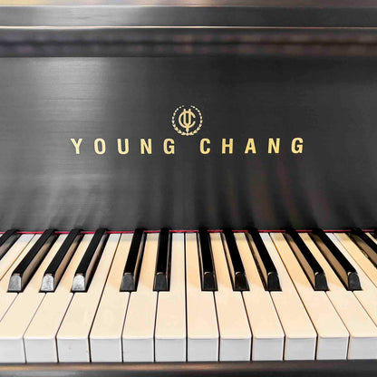 1993 Young Chang G-150 4'11" Satin Black Baby Grand Piano with QRS Self Playing System