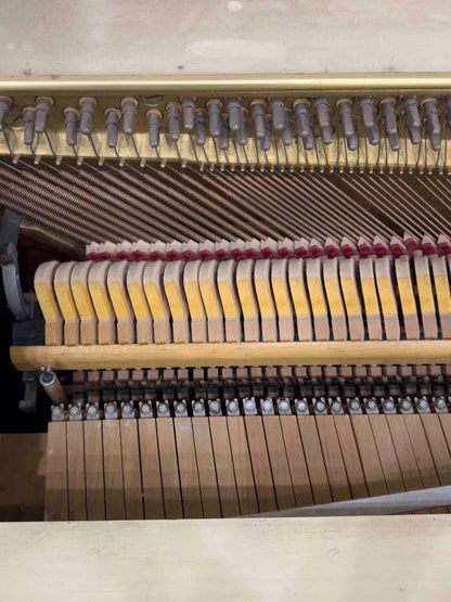CURRENT SHOP WORK 1972 Wurlitzer 36" White Finish Commissioned Spinet Piano