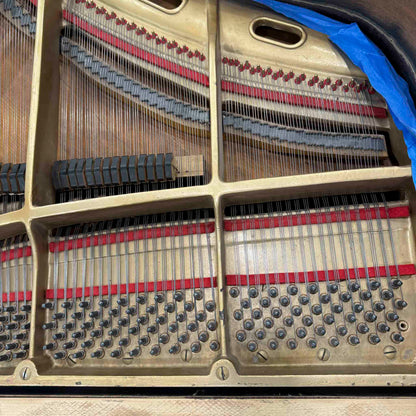 CURRENT SHOP WORK 1930s era Steinway & Sons 4'9" Wood Finish Commissioned Baby Grand
