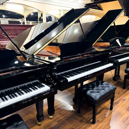 Hailun 198 6'6" Polished Black Grand Piano with Self Playing System