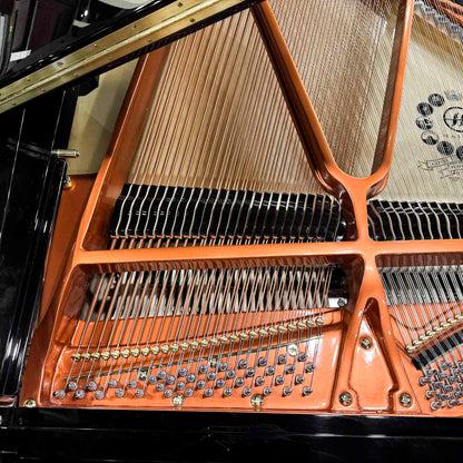 Hailun 198 6'6" Polished Black Grand Piano with Self Playing System