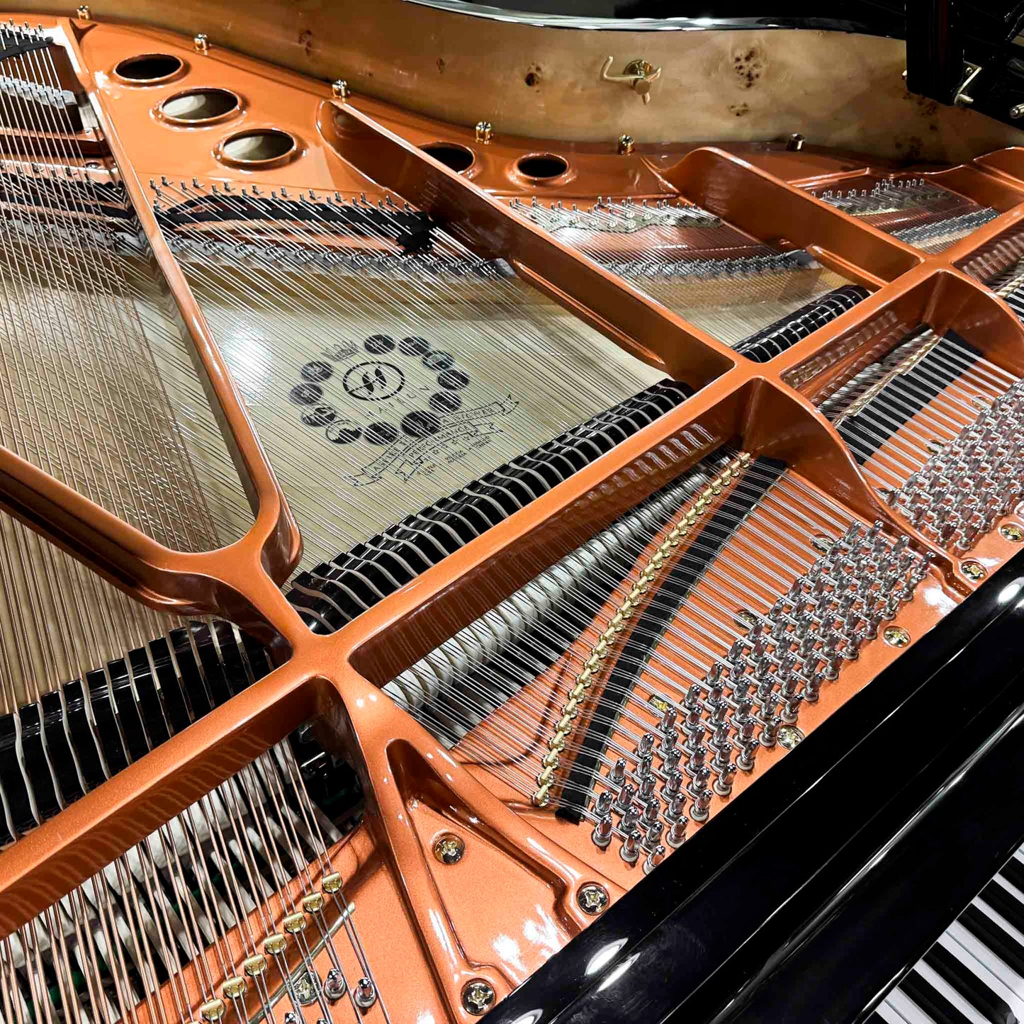 Hailun 198 6'6" Polished Black Grand Piano with Self Playing System