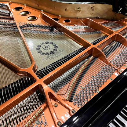 Hailun 198 6'6" Polished Black Grand Piano with Self Playing System