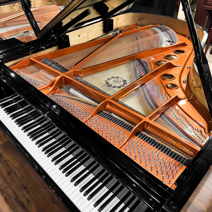 Hailun 198 6'6" Polished Black Grand Piano with Self Playing System