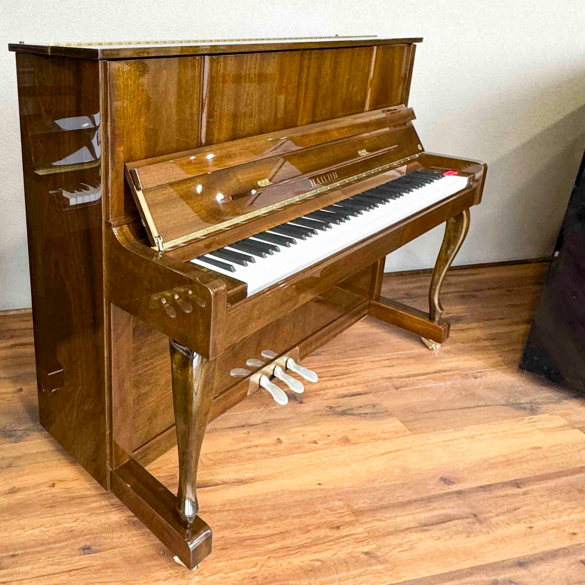 NEW Hailun 121 48" Upright photo 4