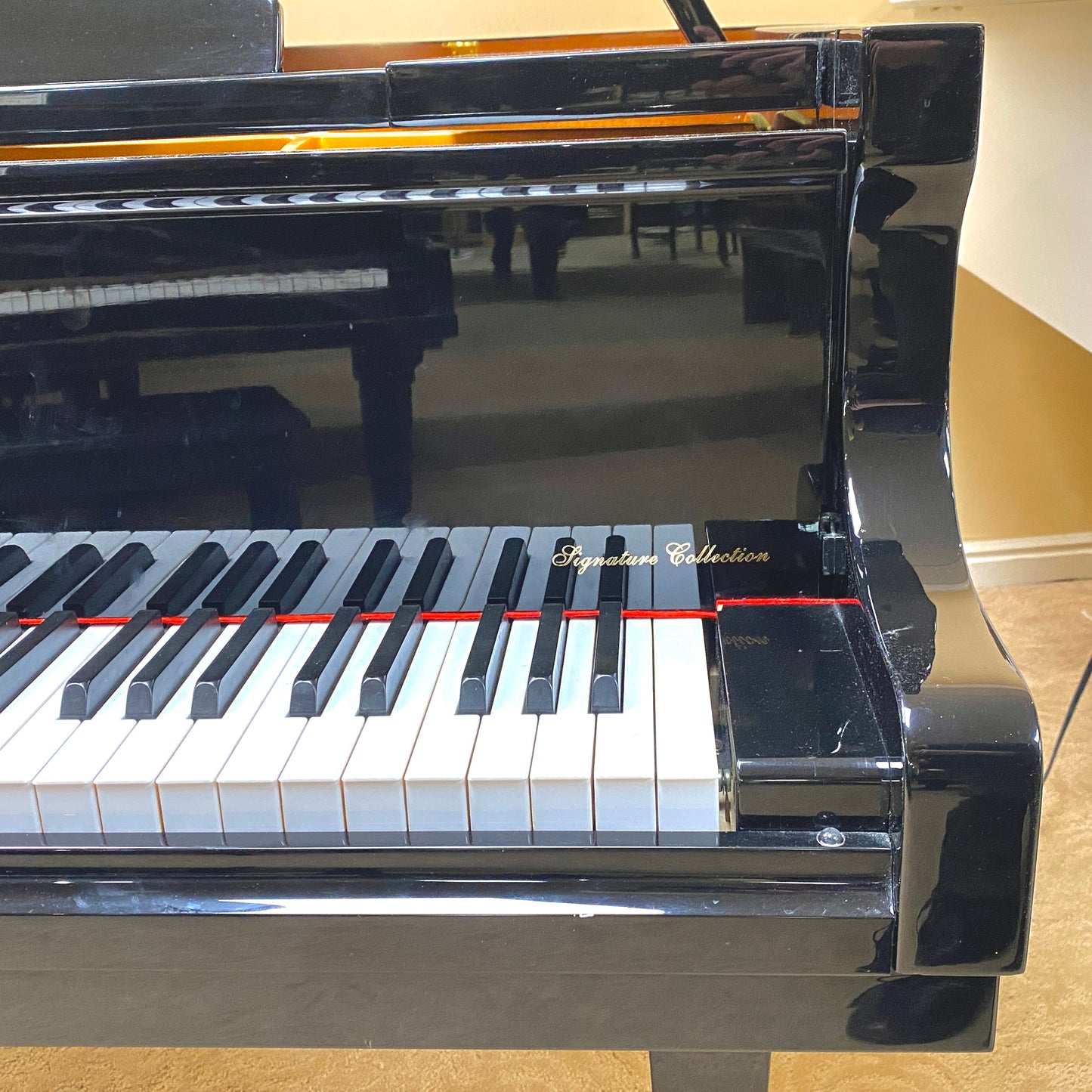 CURRENT SHOP WORK - Hallet Davis 148 Commissioned Grand Piano