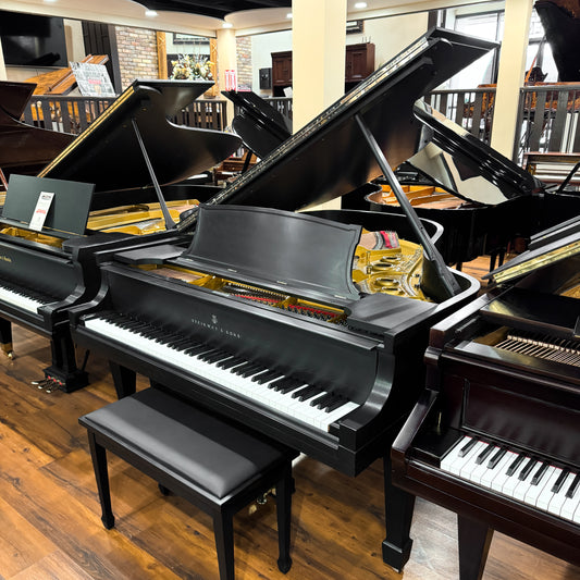 1925 Steinway L 5'11" Grand Piano / Satin Black