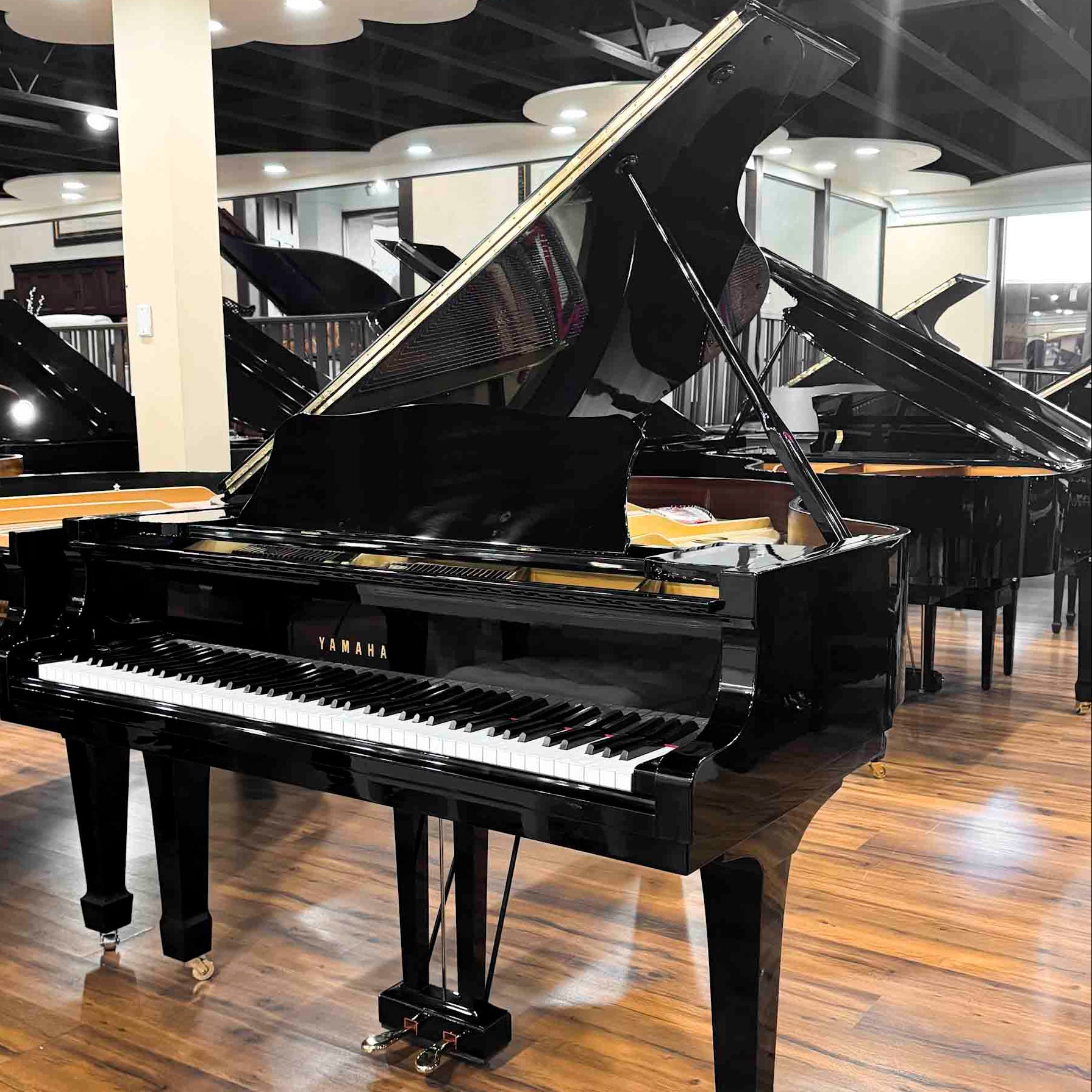 Black Yamaha grand piano in a showroom with wooden flooring