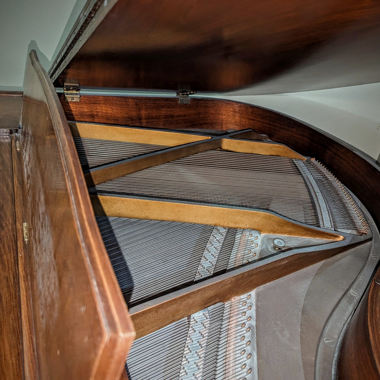 The Fox Family Piano!