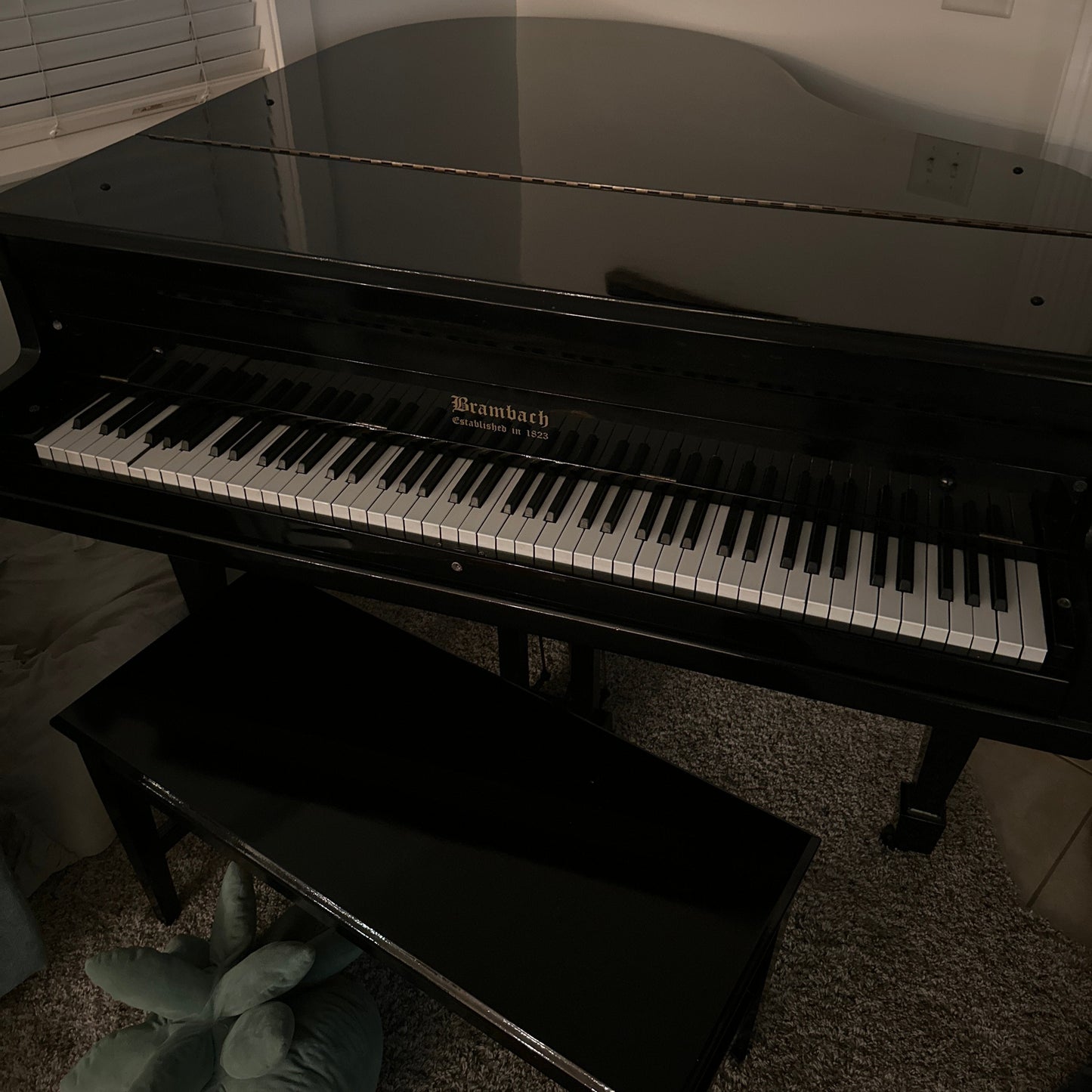 Image of the Piano For Sale