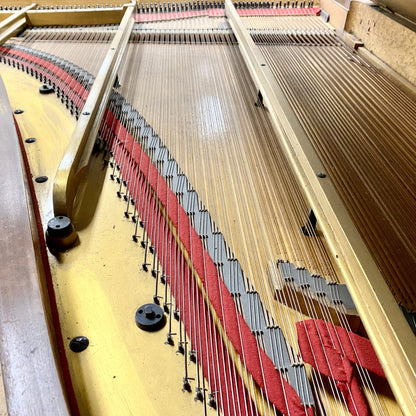 Image 13 of 1901 Erard Grand Piano Walnut - CALL FOR CUSTOM PRICING with QRS Self Playing System