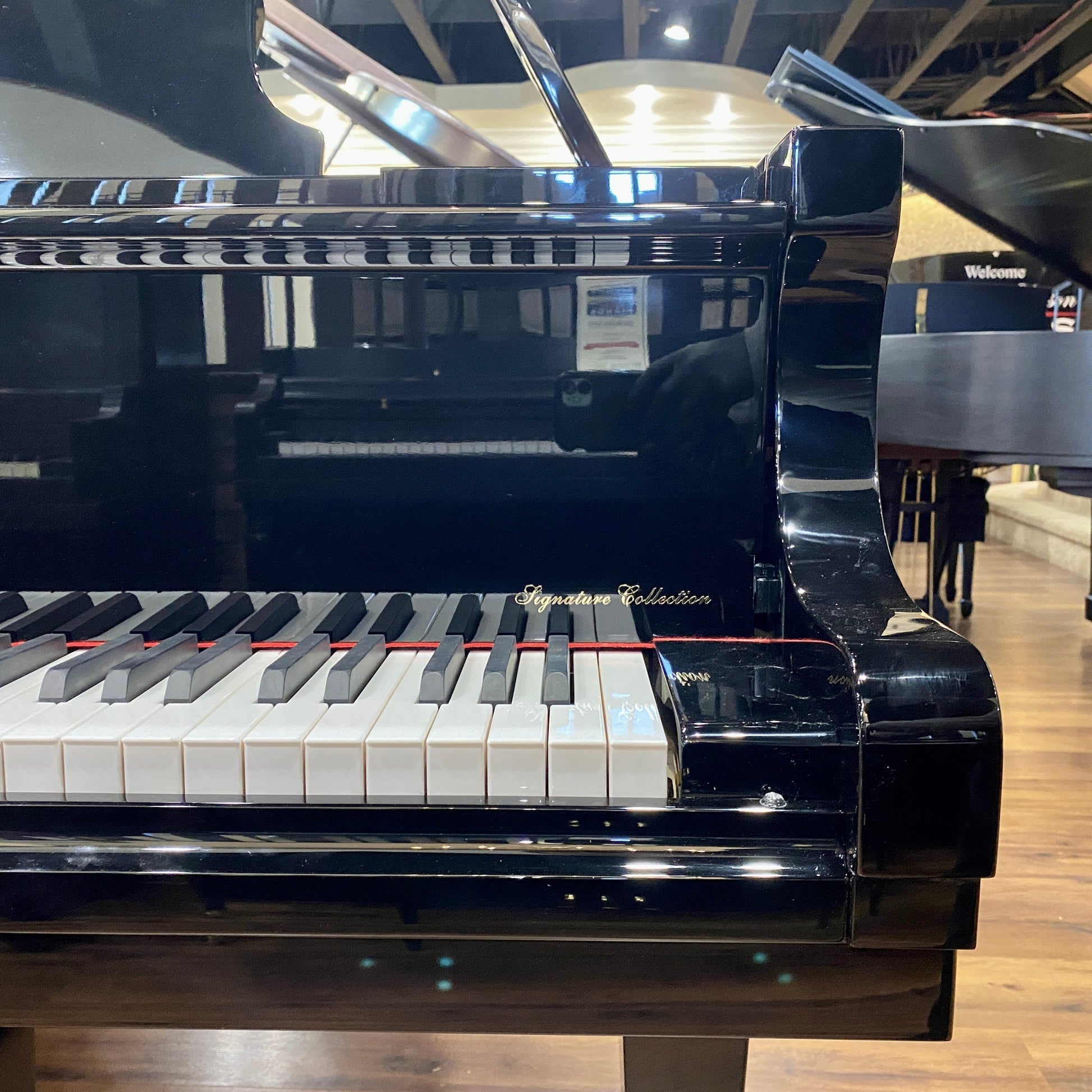 Image 6 of Hallet Davis 188 Grand Black Polish with QRS Self Playing System