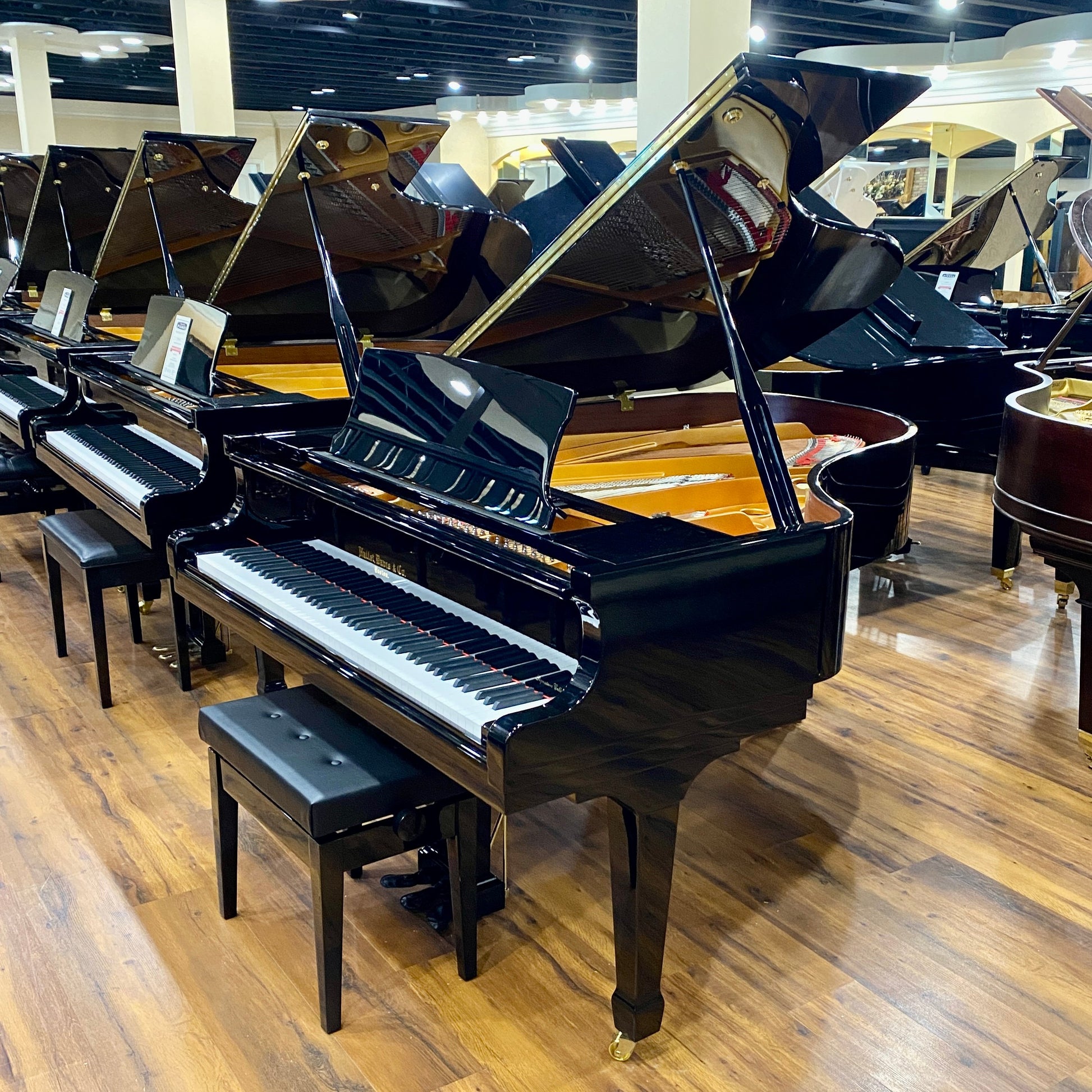 Image 14 of Hallet Davis 188 Grand Black Polish with QRS Self Playing System
