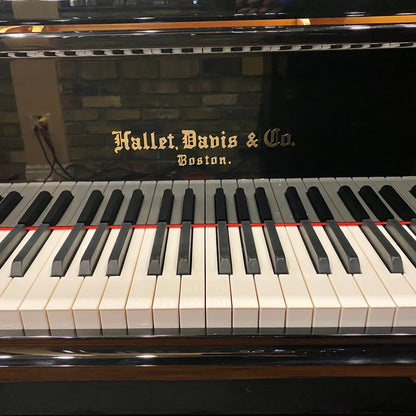 Image 6 of Hallet Davis188 Black Polish with QRS Self Playing System