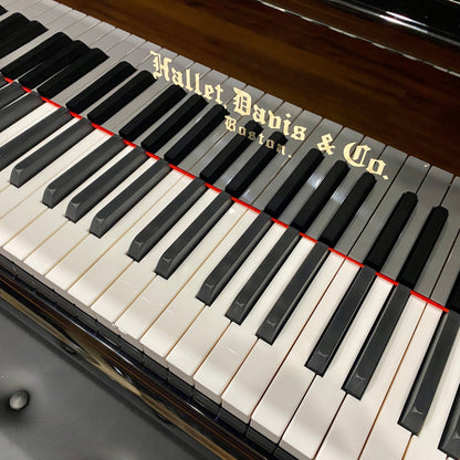Image 7 of Hallet Davis188 Black Polish with QRS Self Playing System